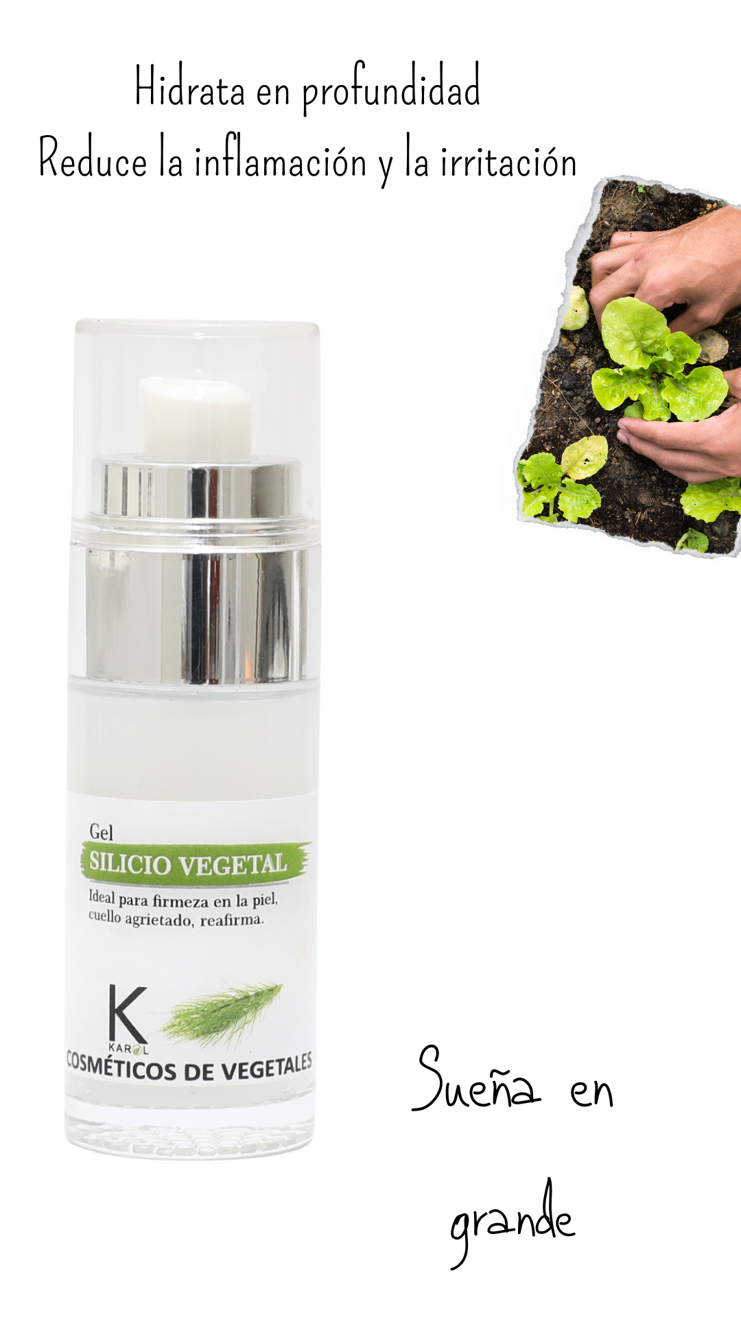 Producto imagen Gel de Silicio Vegetal