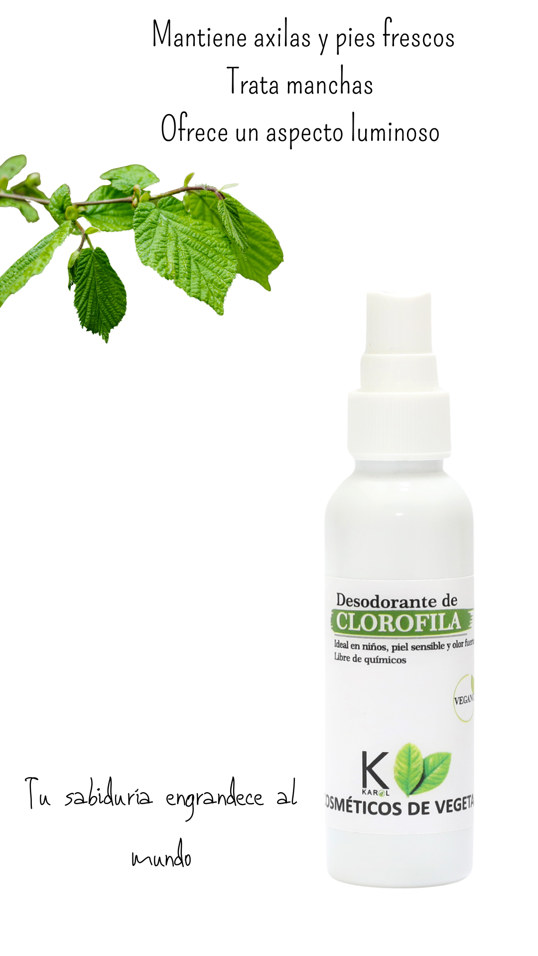 Producto Desodorante de Clorofila