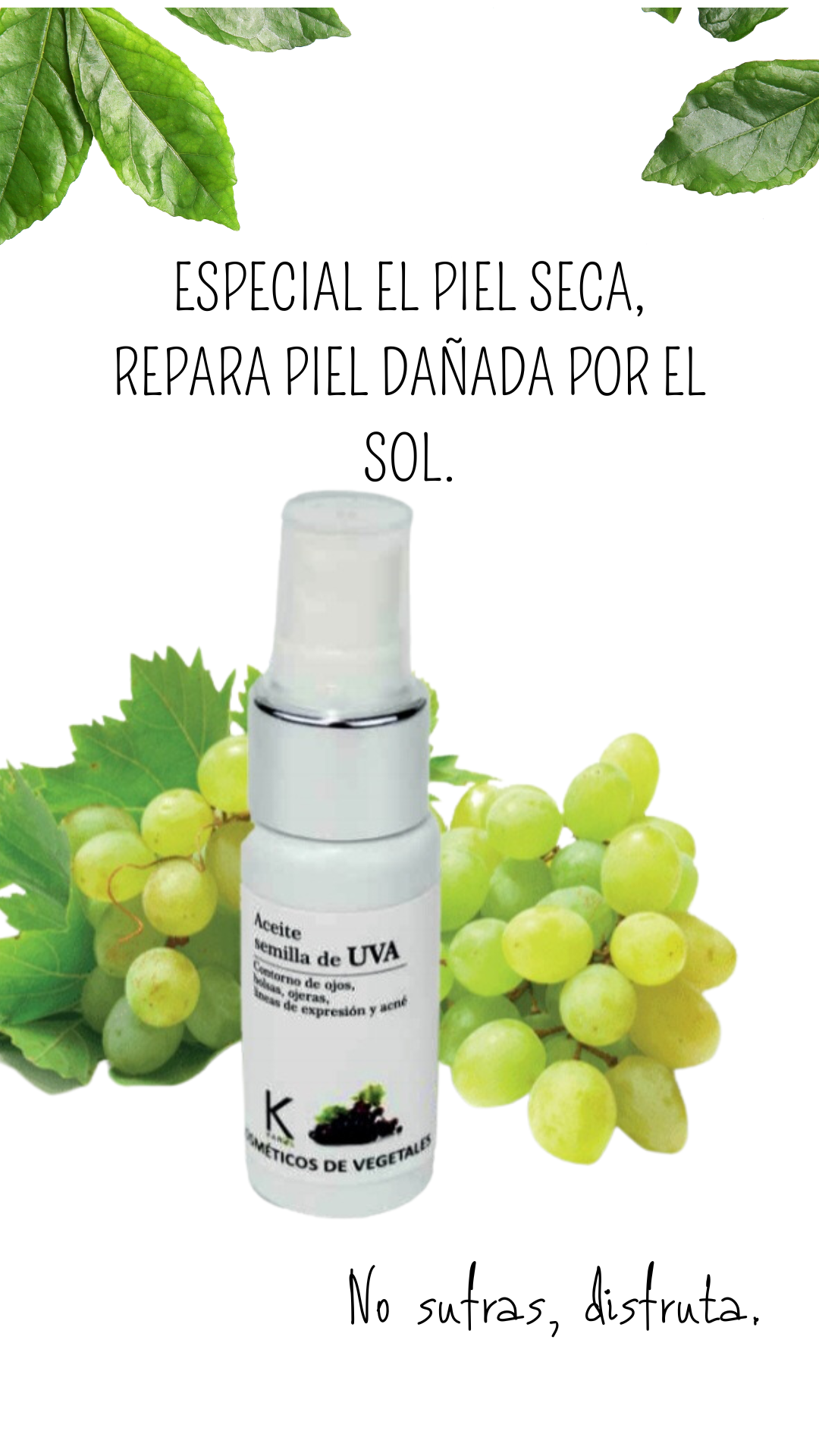 Producto imagen Aceite de Semilla de Uva