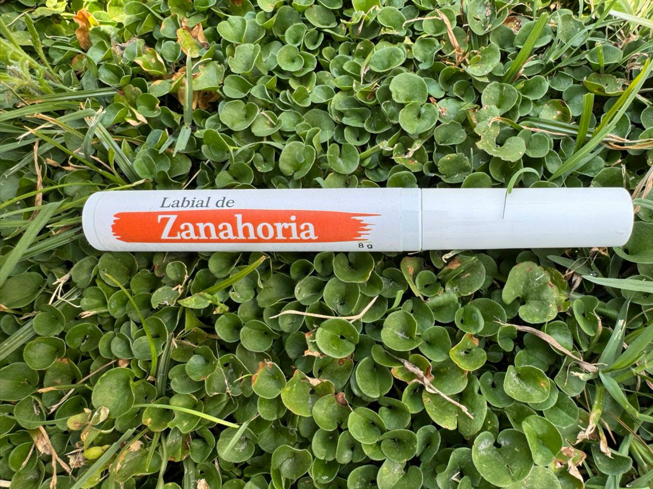 Labial de zanahoria