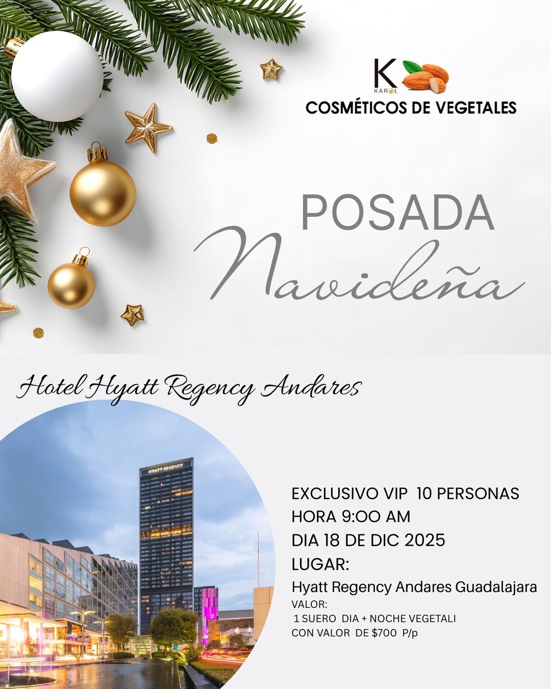 Imagen de POSADA NAVIDEÑA (no comisionable)